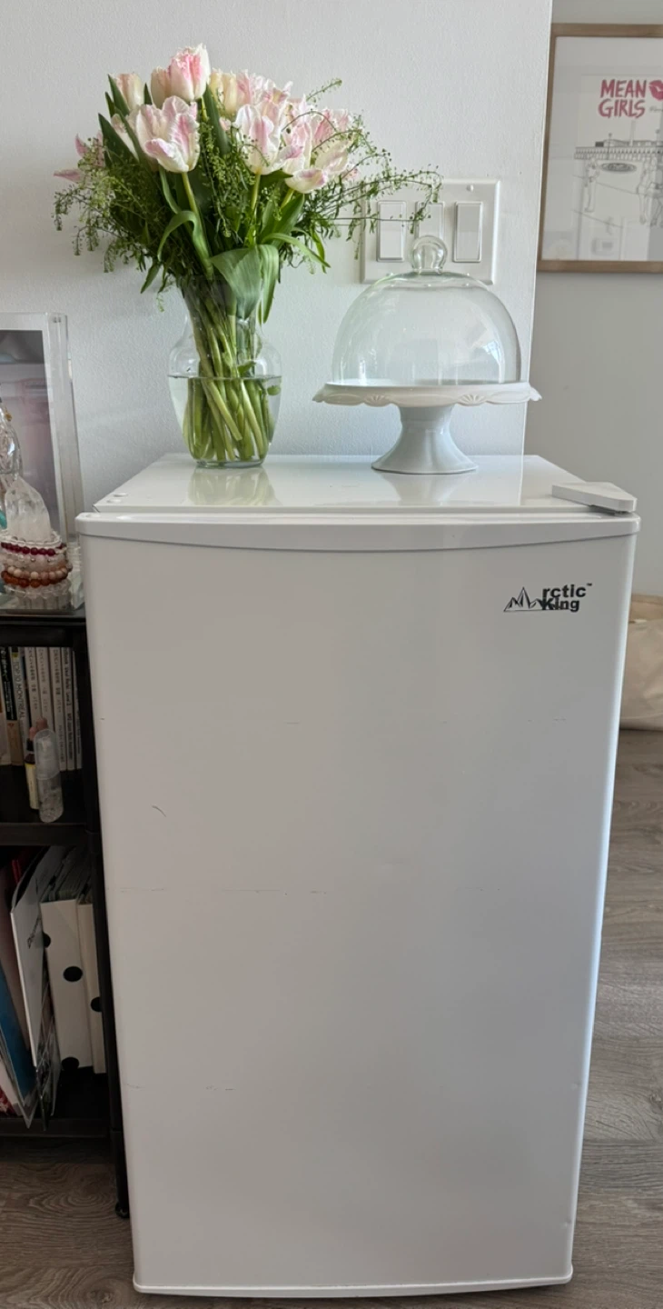 Arctic King Mini Fridge