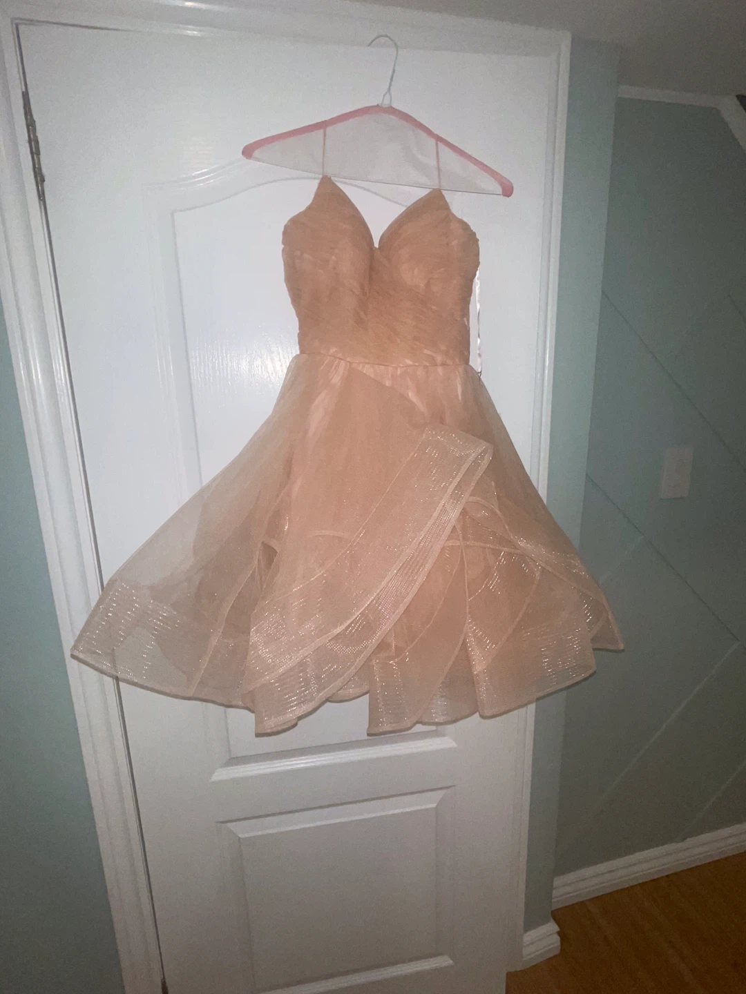 Rianna Couture Blush Tulle Dress Size 4
