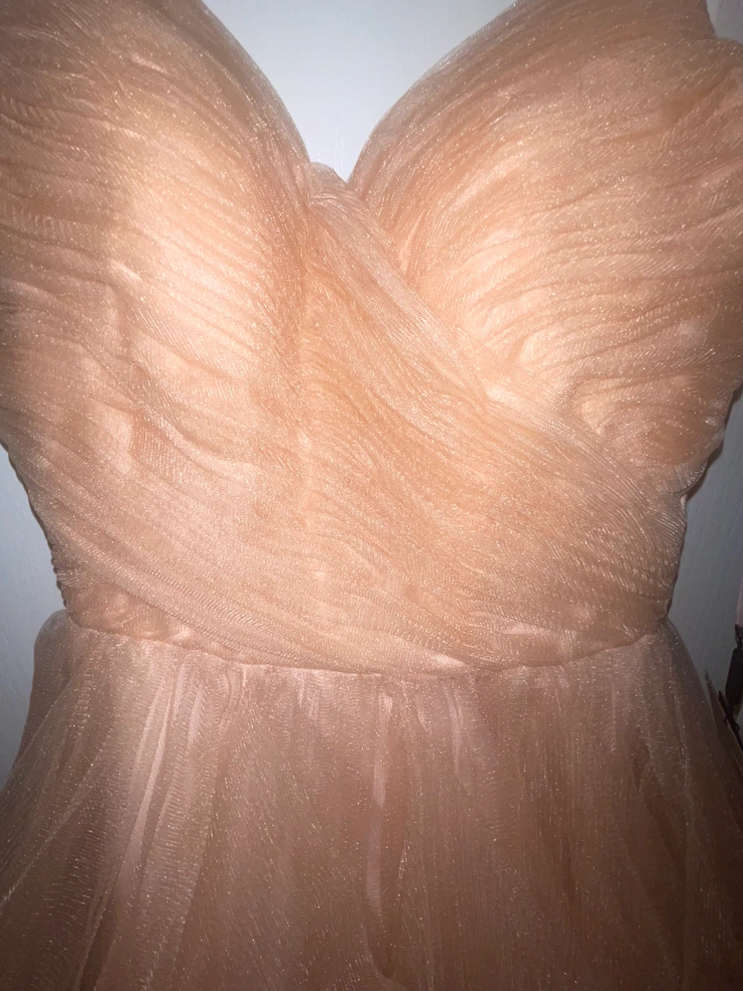 Rianna Couture Blush Tulle Dress Size 4 - photo 4