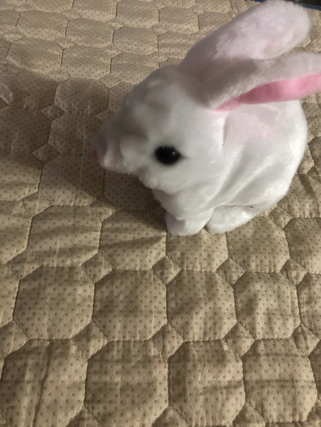 Bunby Bunny Realistic Interactive Plush Toy - White - photo 5