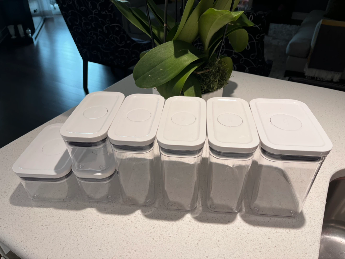 OXO POP Containers Set of 6