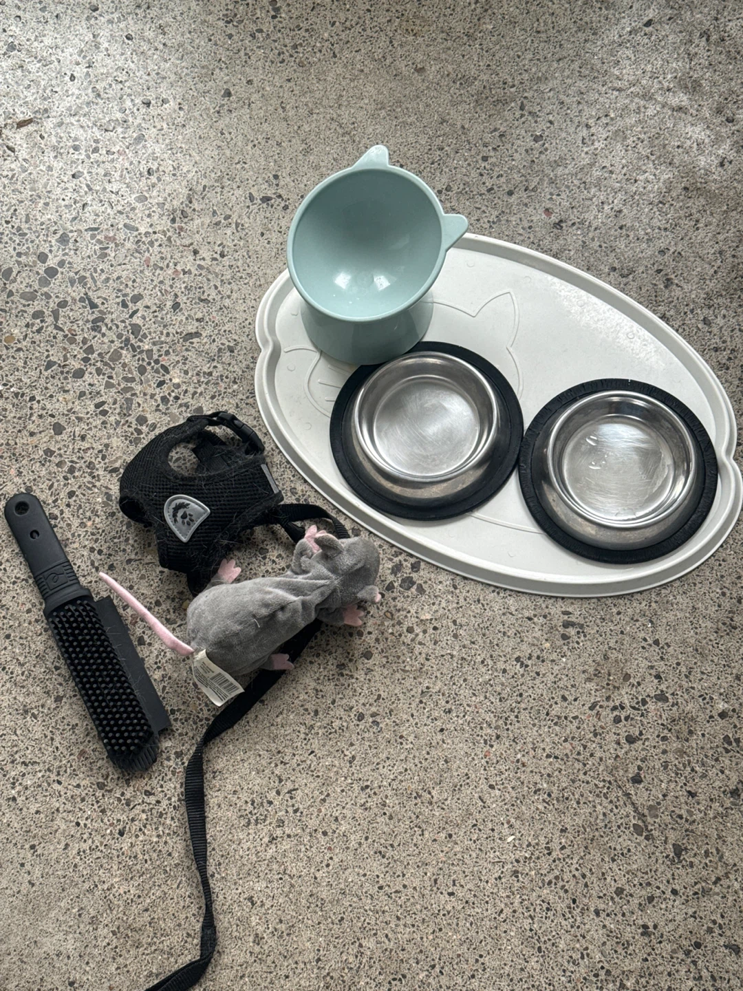 Cat Bowls, Harness, Toy, litter boxes, food, sand