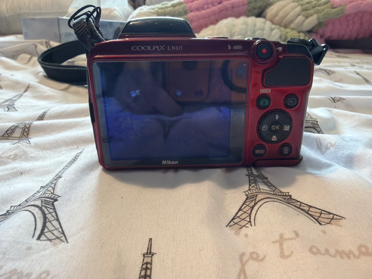 Nikon COOLPIX L810 Digital Camera - photo 3