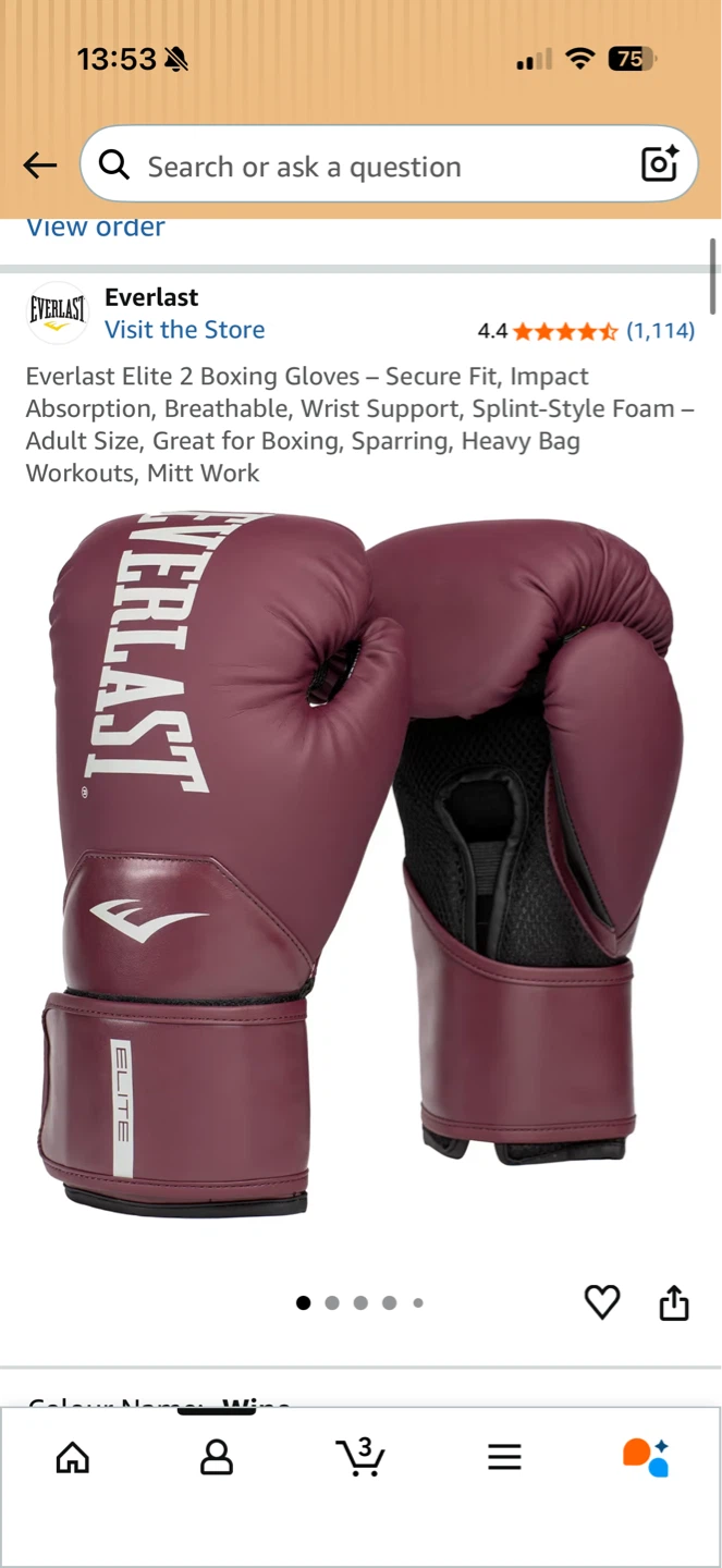 Everlast Elite 2 Boxing Gloves