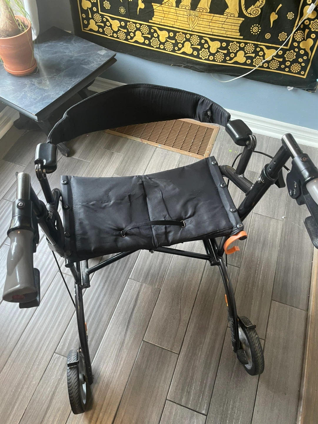 Mobility Walker - photo 4