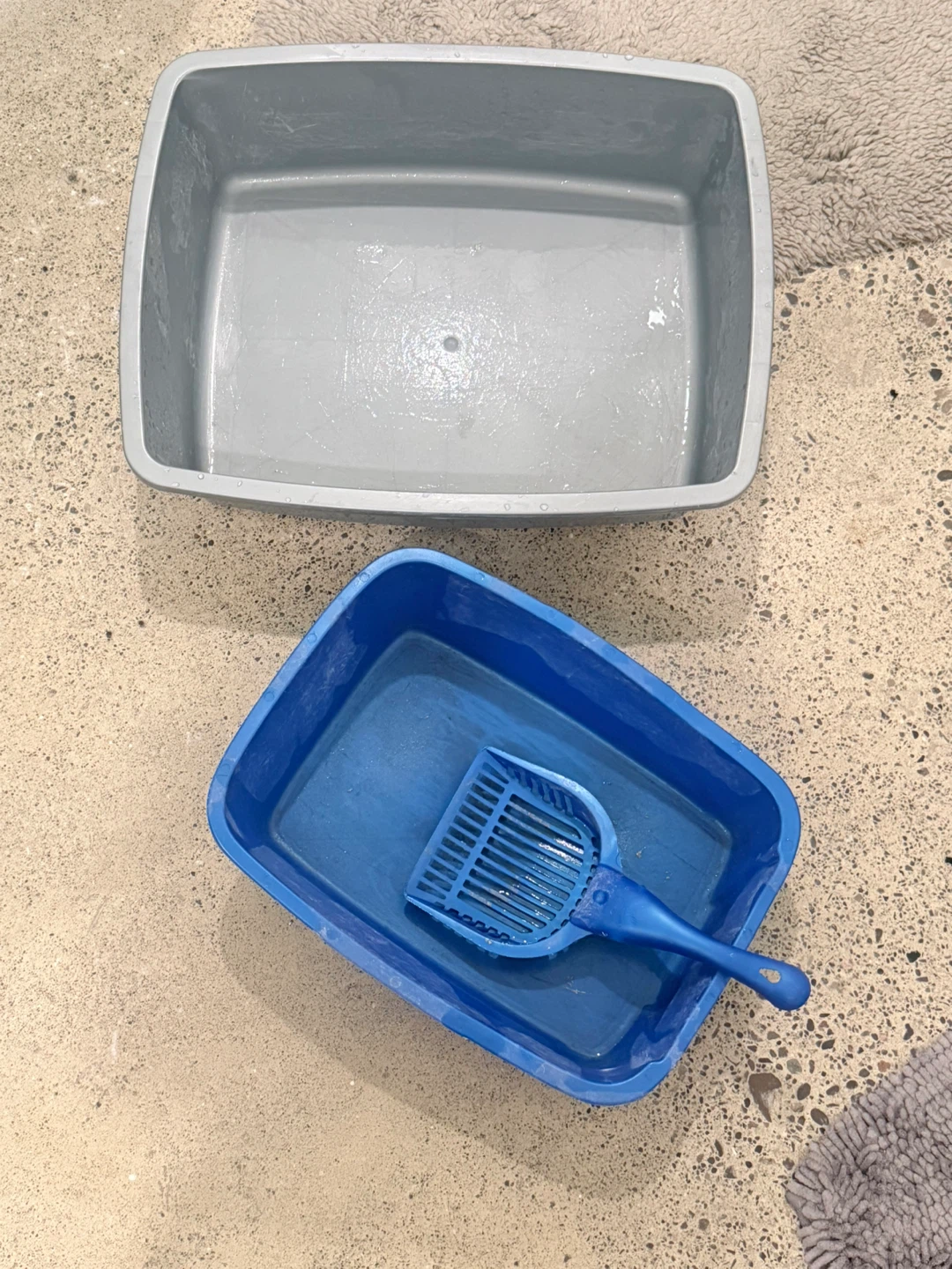 Cat Bowls, Harness, Toy, litter boxes, food, sand - photo 2