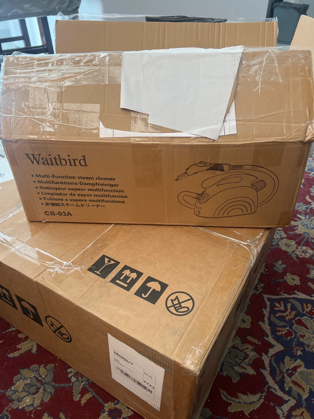 Waitbird Multi-Function Steam Cleaner CB-03A