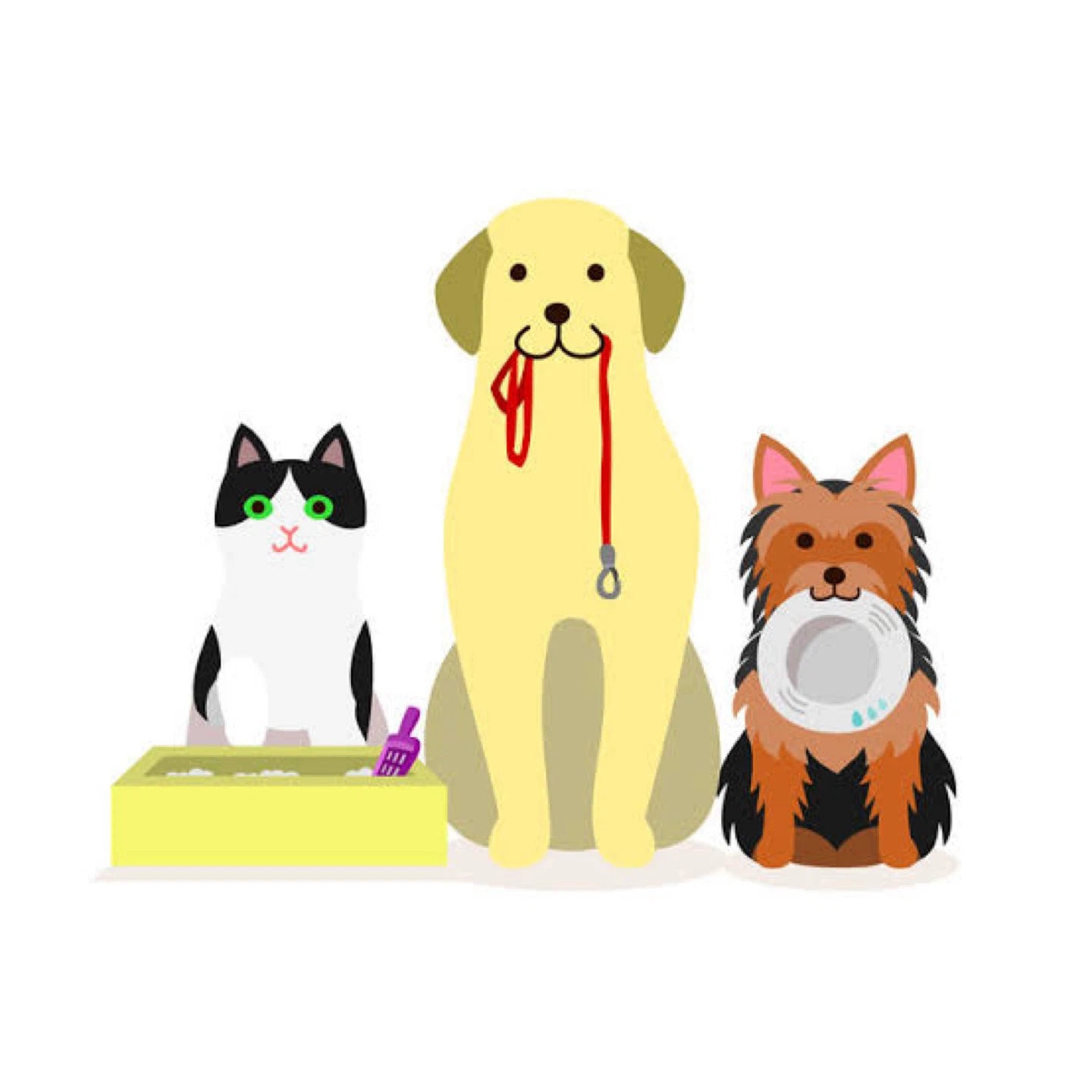 Pet sitting