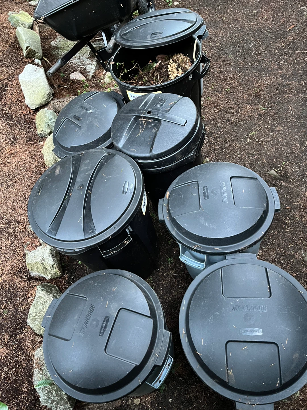 Green Waste - Removal - photo 2
