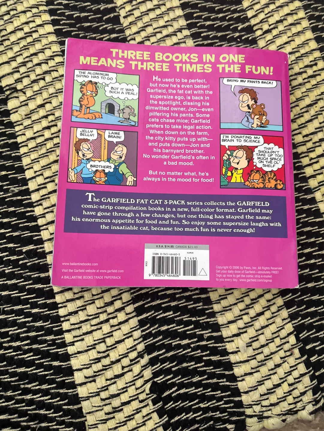 Garfield Fat Cat 3-Pack Volume 13 - photo 2