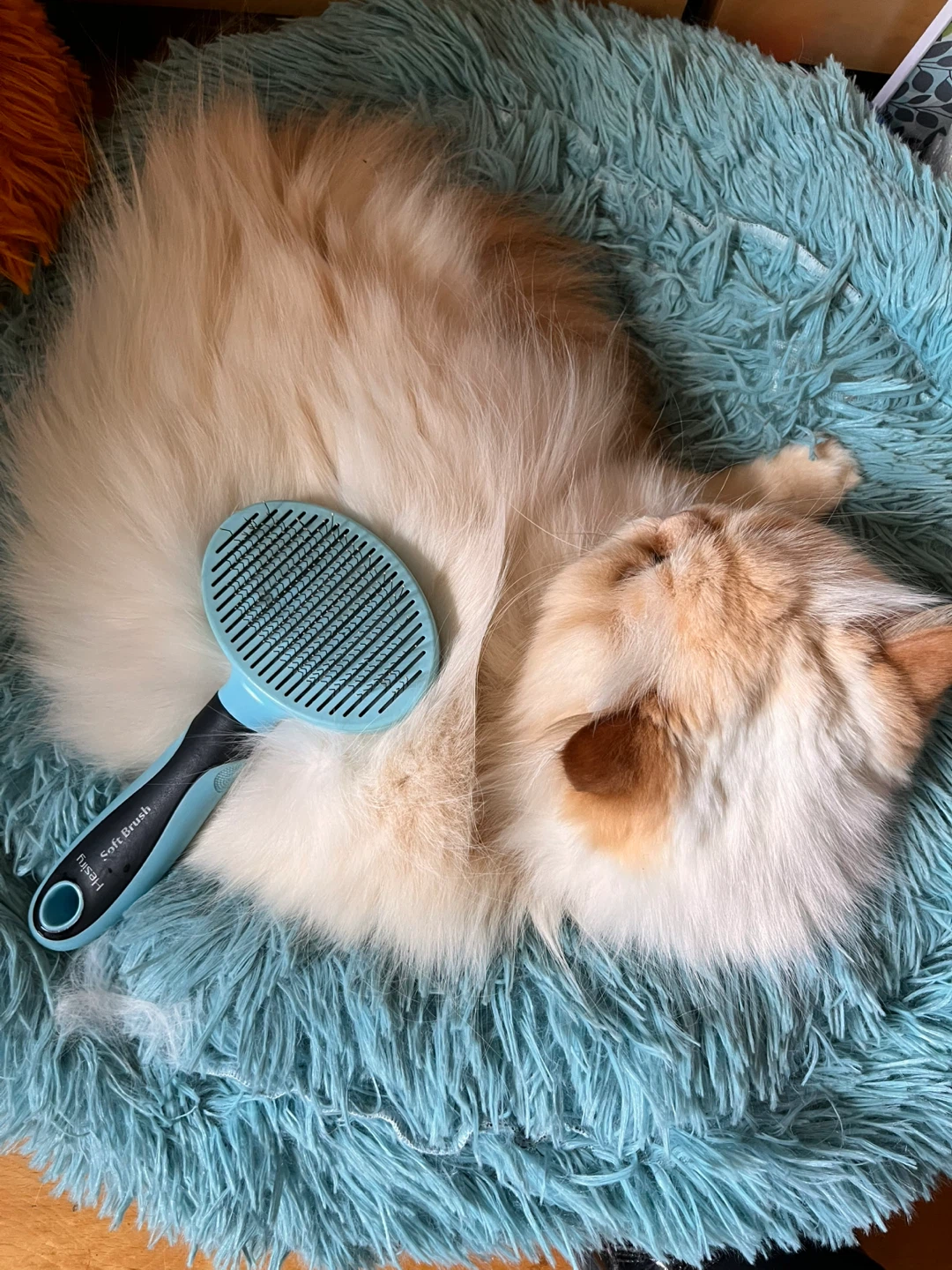 Hesiry Cat Brush Dog Brush - photo 3