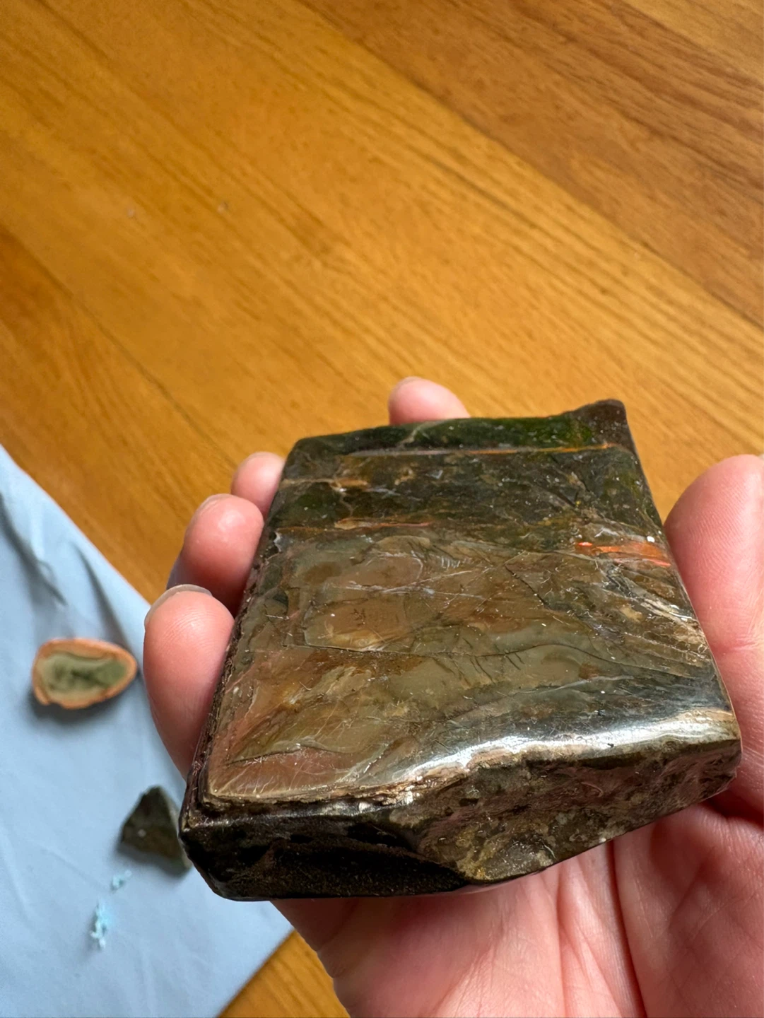 Polished Ammonite Fossil - photo 4