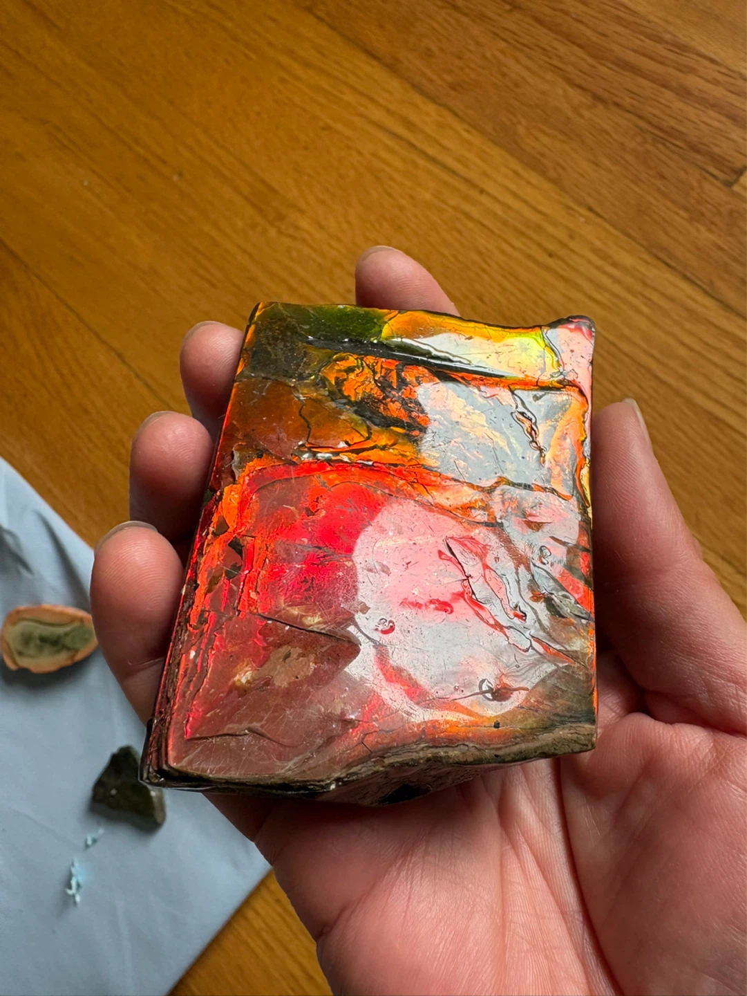 Polished Ammonite Fossil - photo 3