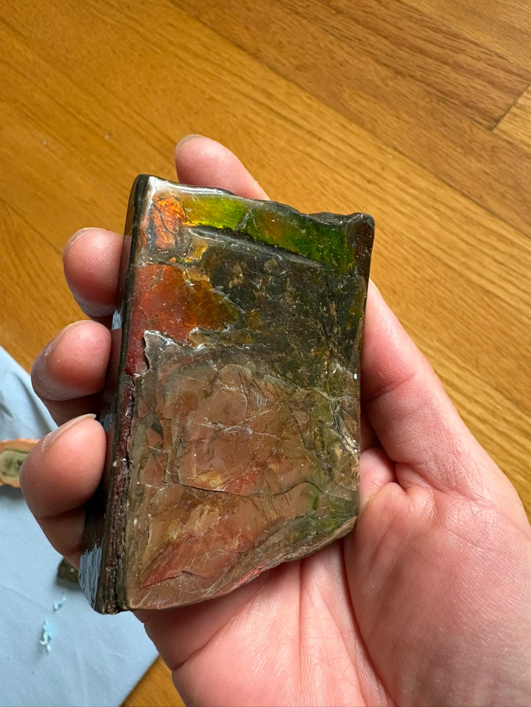 Polished Ammonite Fossil - photo 2