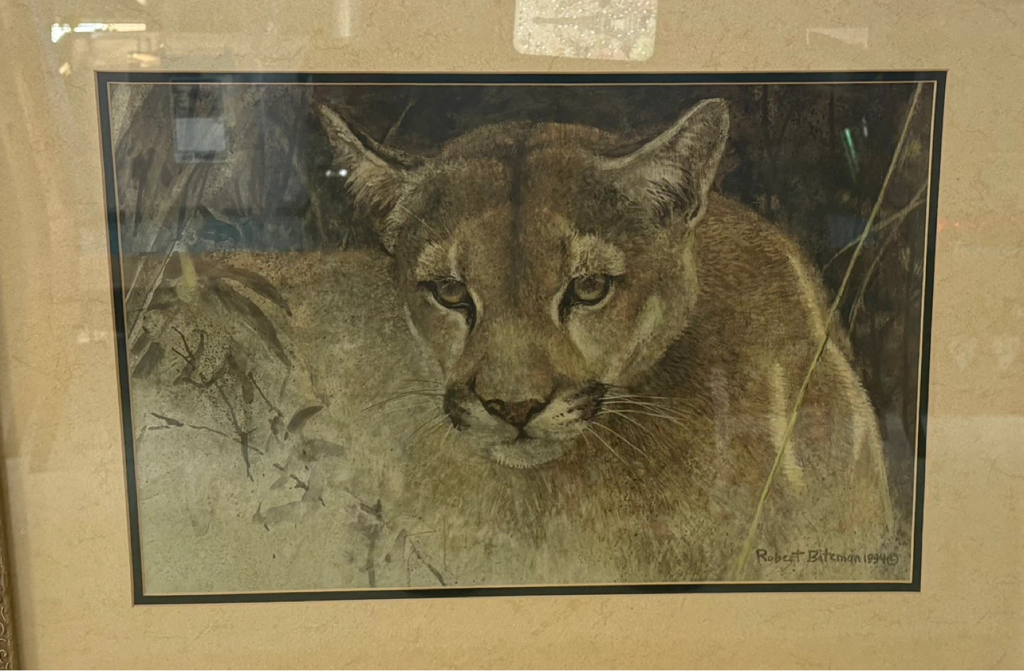 ✨✨Robert Bateman Tropical Cougar - photo 2