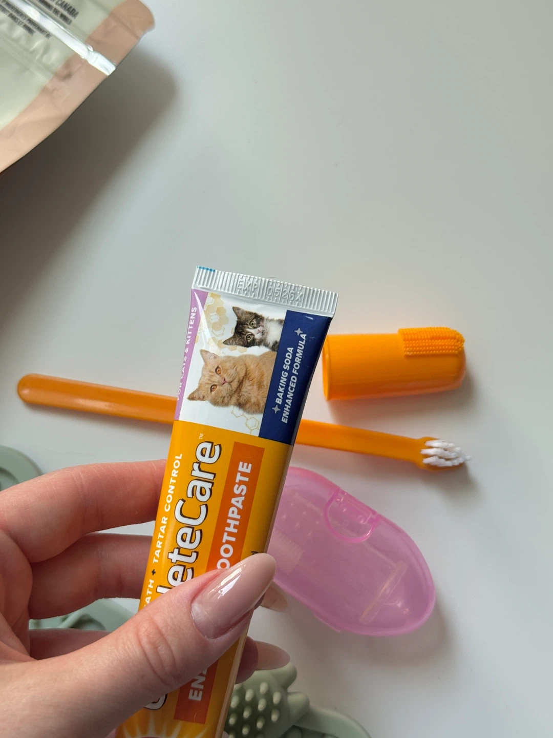 Cat Care Bundle: Acana Indoor Food, Slow Feeder & Dental Kit - photo 4