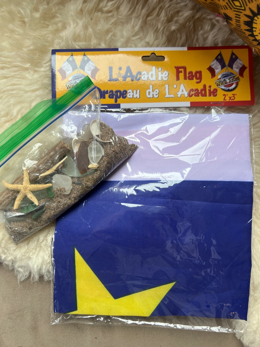 East coast Atlantic sand + Acadian flag