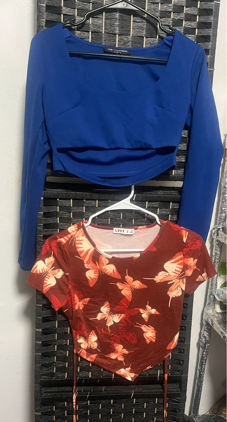 Blue Long Sleeve Crop Top & Butterfly Print Short Sleeve Top