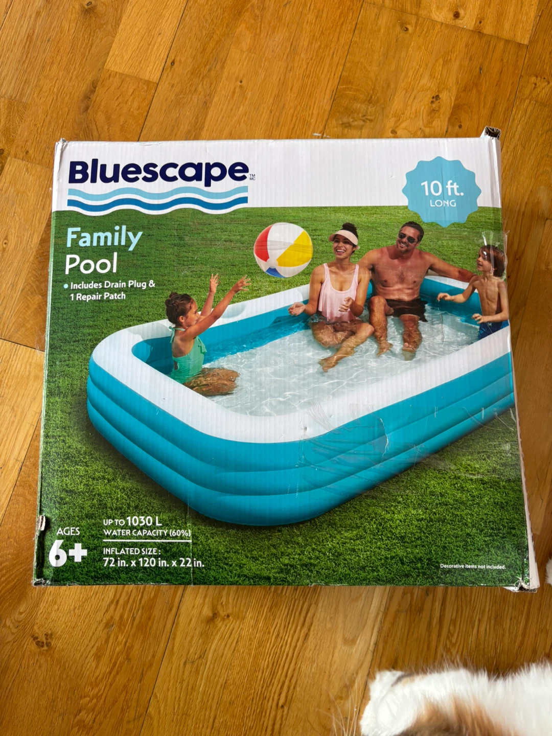 Bluescape Family Pool - 10 ft. Long
