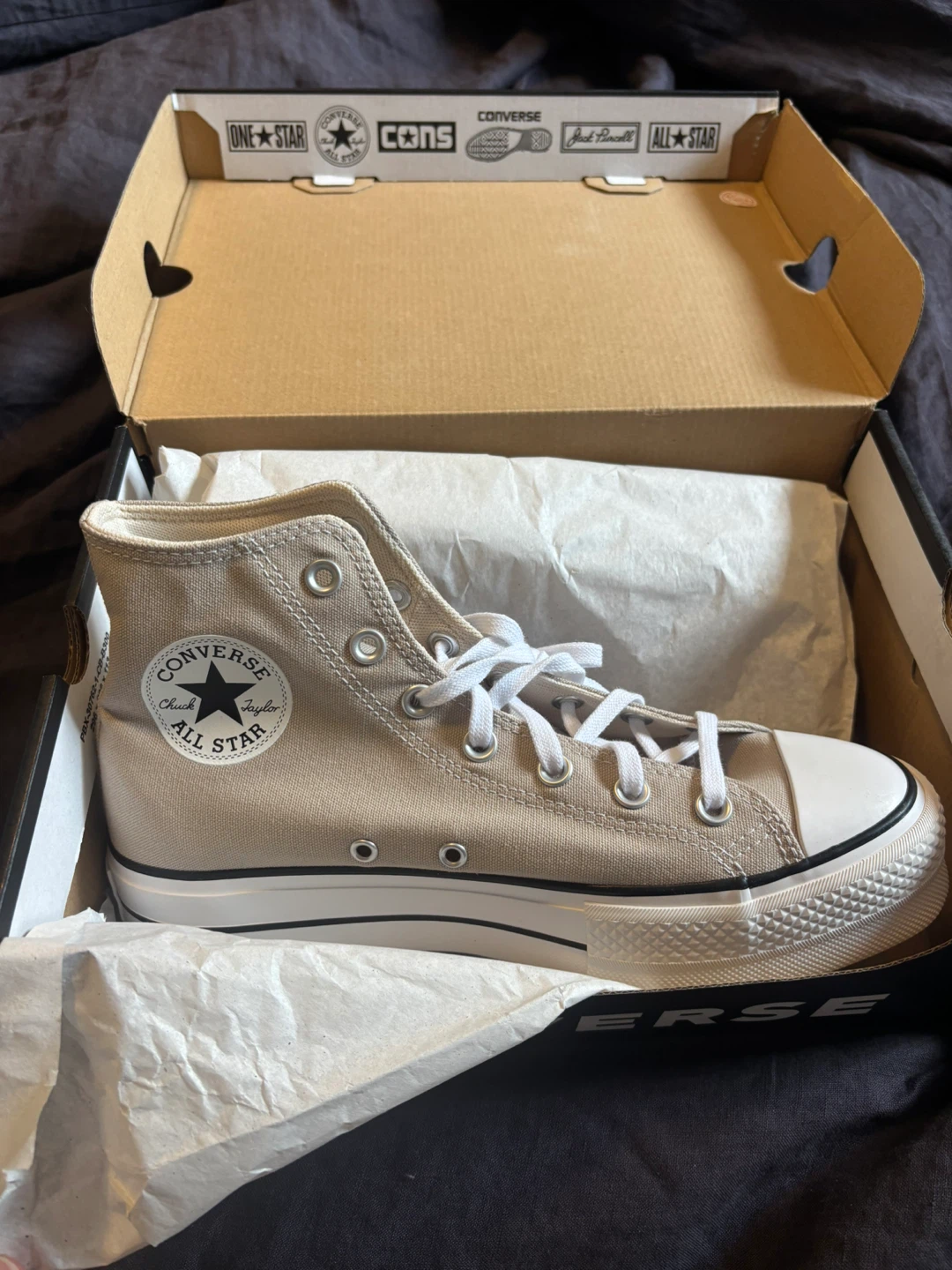 Converse Chuck Taylor All Star High Top Shoes