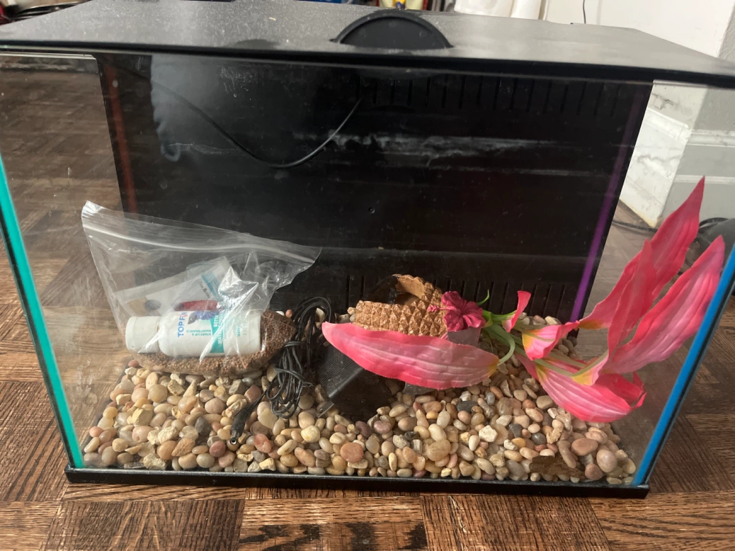Aquarium with Accessories