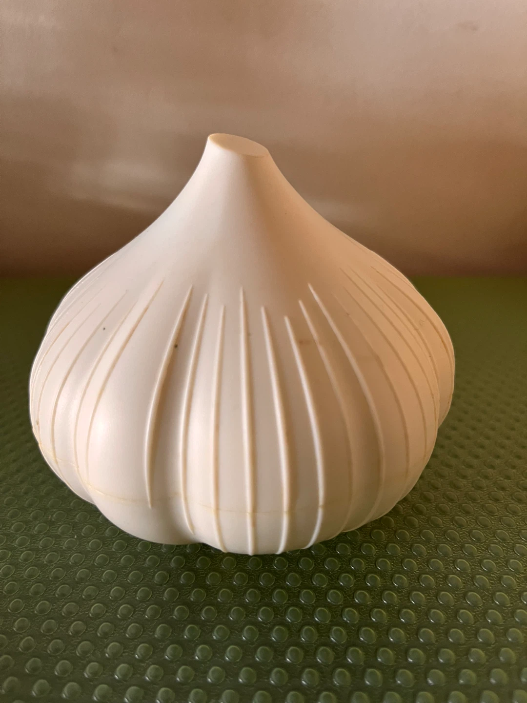 Garlic Keeper Container