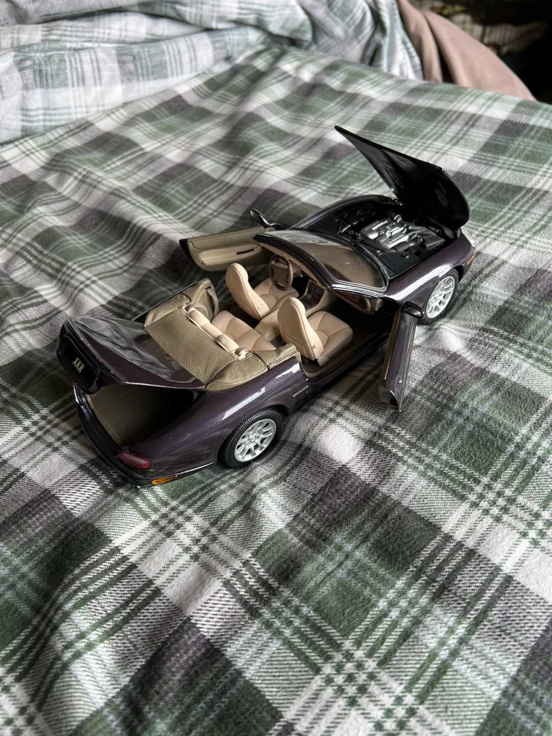 1/18 Scale Jaguar - photo 2
