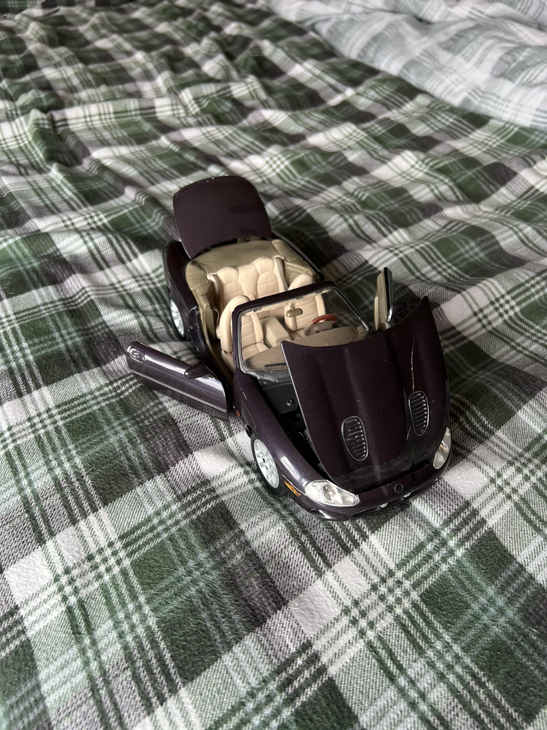 1/18 Scale Jaguar - photo 3