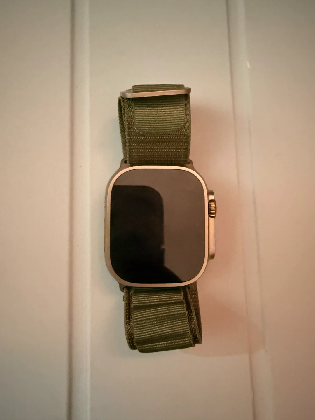 Apple Watch Ultra 2 - Natural Titanium Color