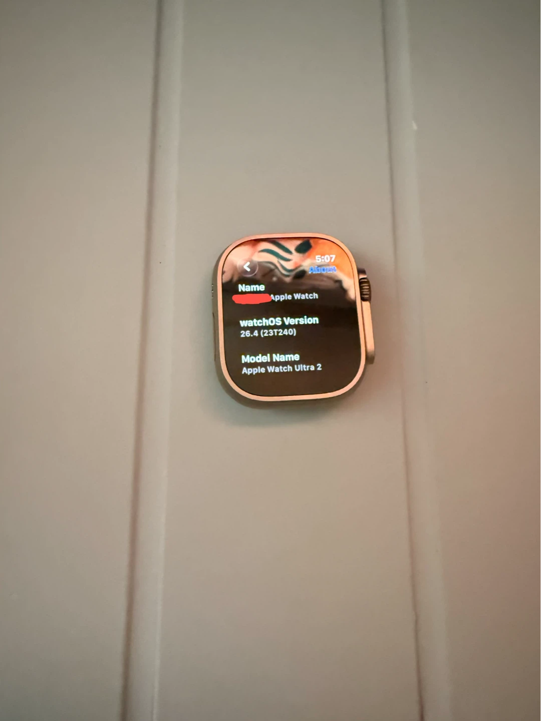 Apple Watch Ultra 2 - Natural Titanium Color - photo 3