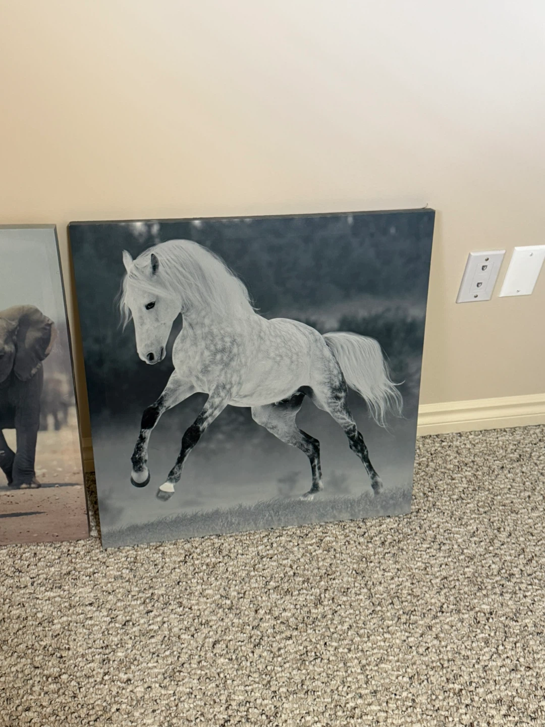 Set of 2 Canvas Wall Art Prints - Elephants & Horse - photo 3