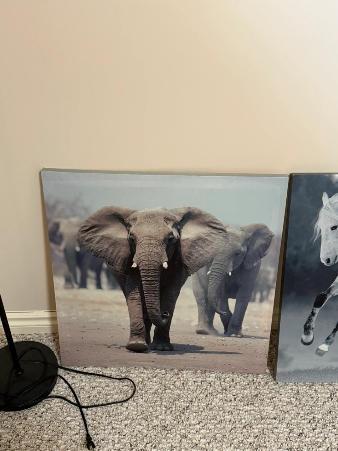 Set of 2 Canvas Wall Art Prints - Elephants & Horse