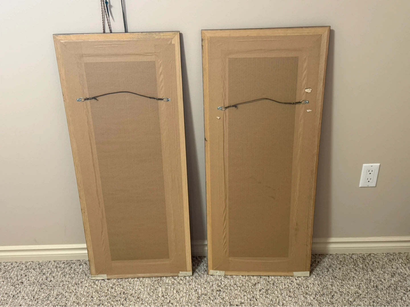 Framed Tiger and Giraffe Wall Art Set - photo 2