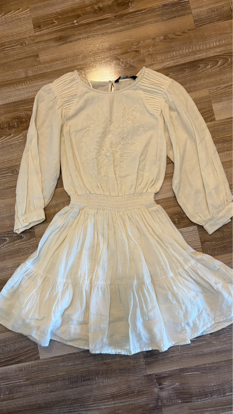 Zara Embroidered Mini Dress