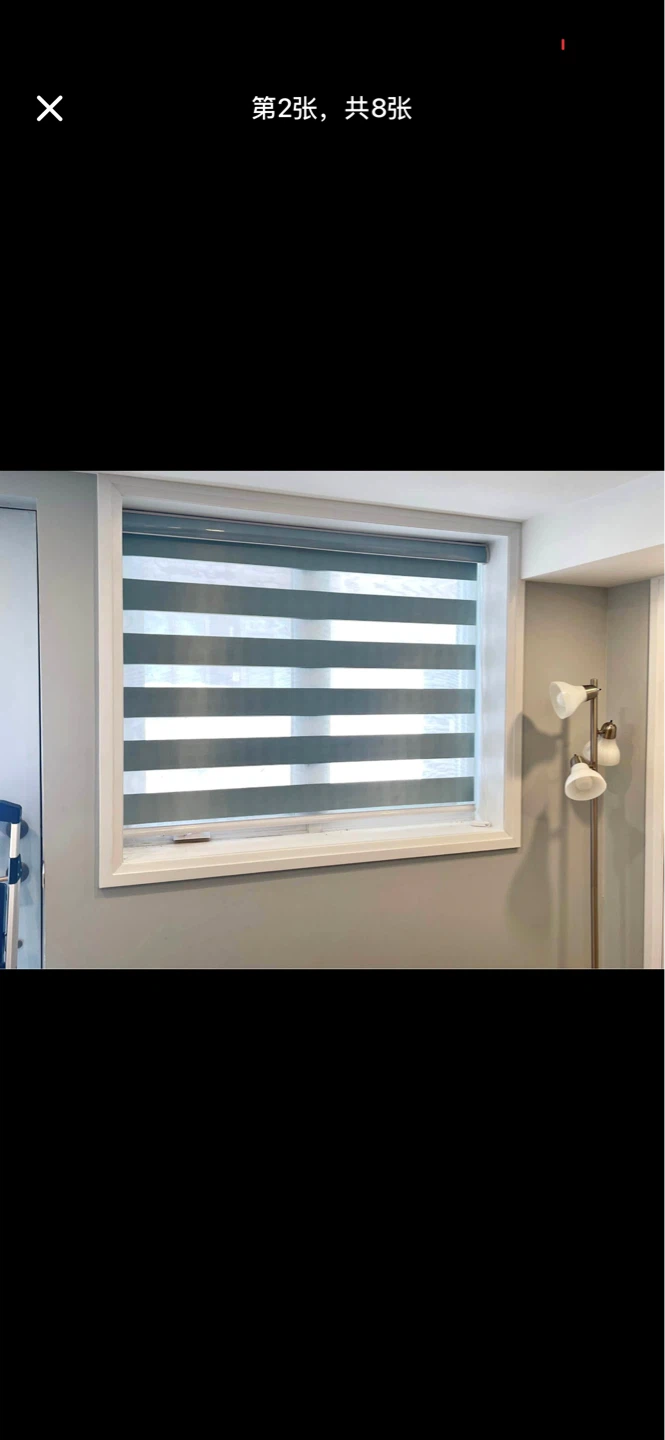 Zebra Roller Blinds - photo 4