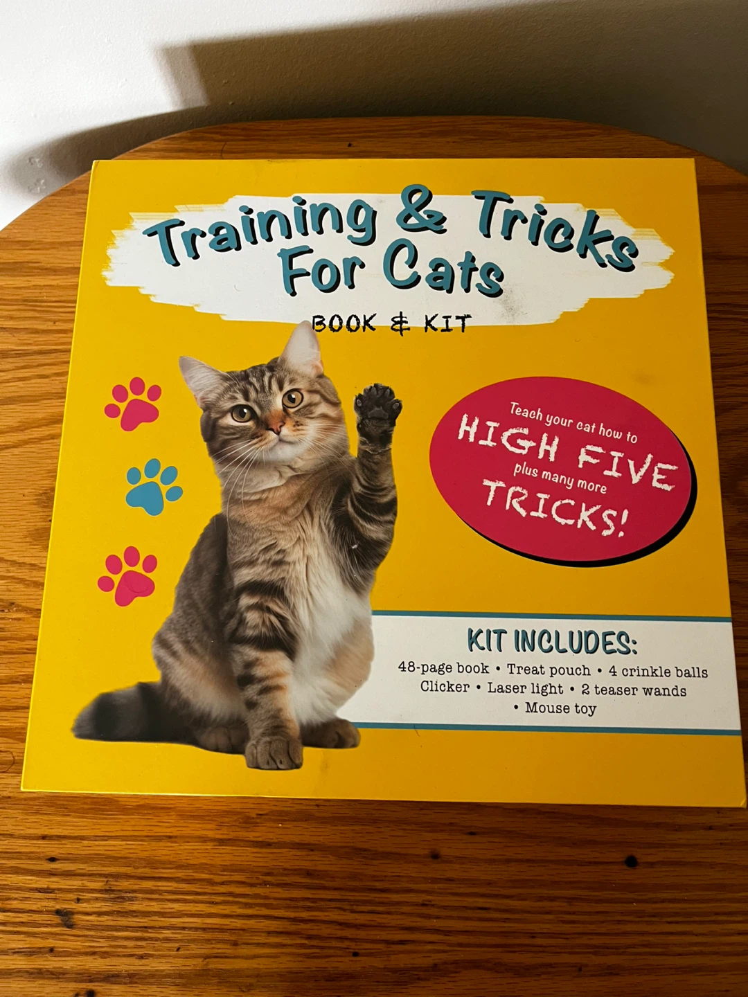 Cat training kit