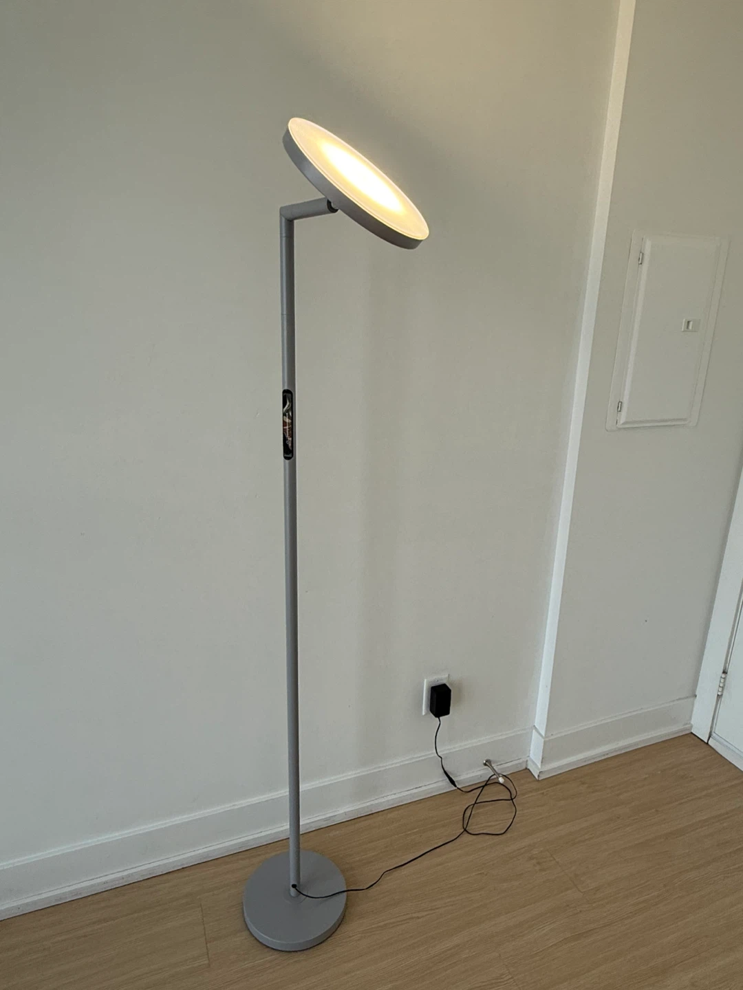 LINBAOHOME Modern LED Floor Lamp with Remote - photo 3