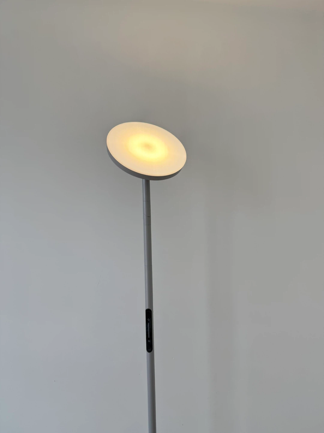 LINBAOHOME Modern LED Floor Lamp with Remote - photo 5