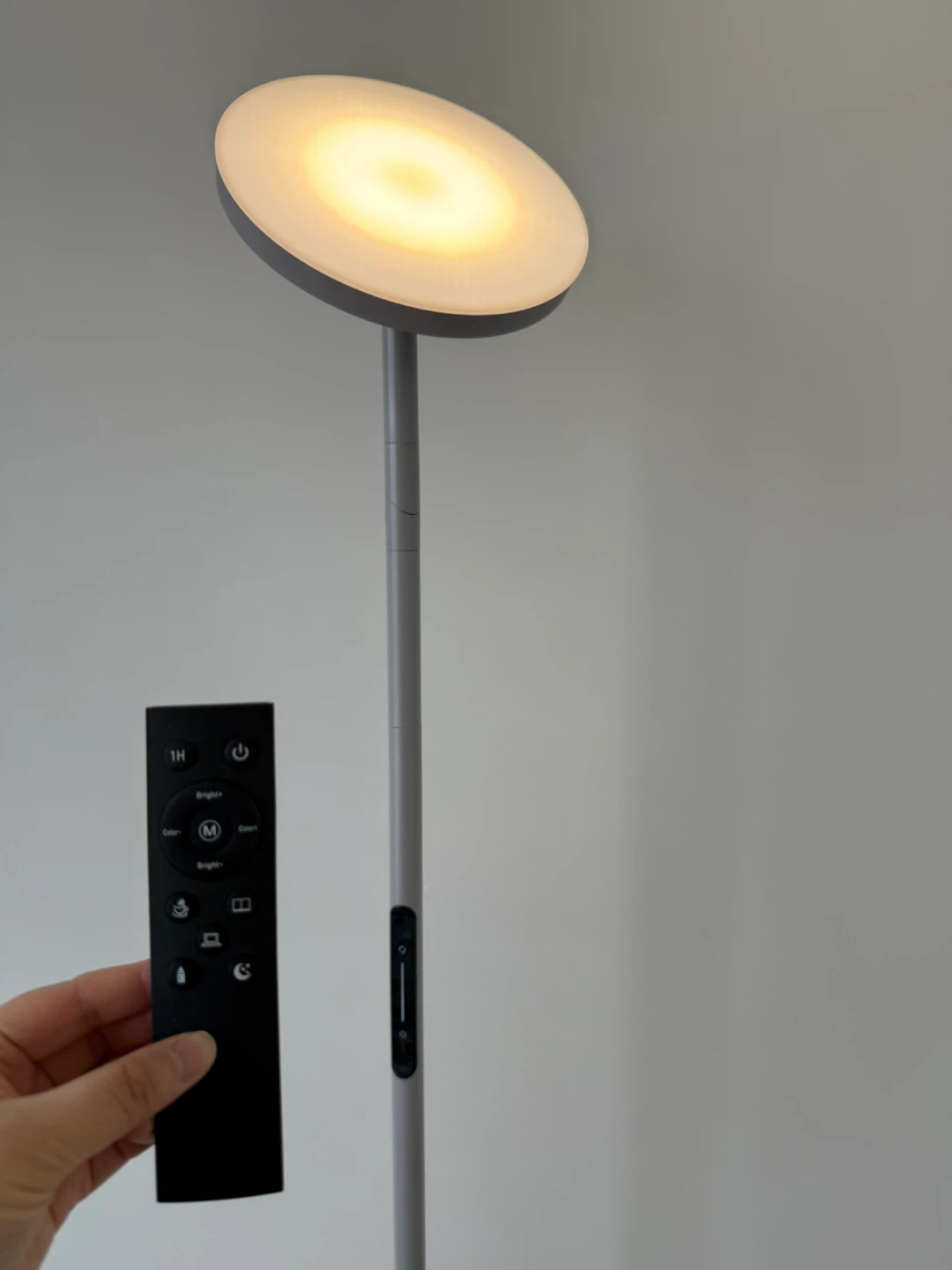 LINBAOHOME Modern LED Floor Lamp with Remote