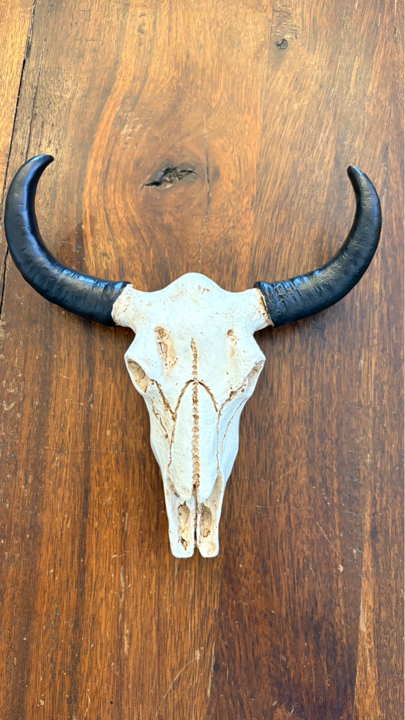 Decorative Wall Bull Skull