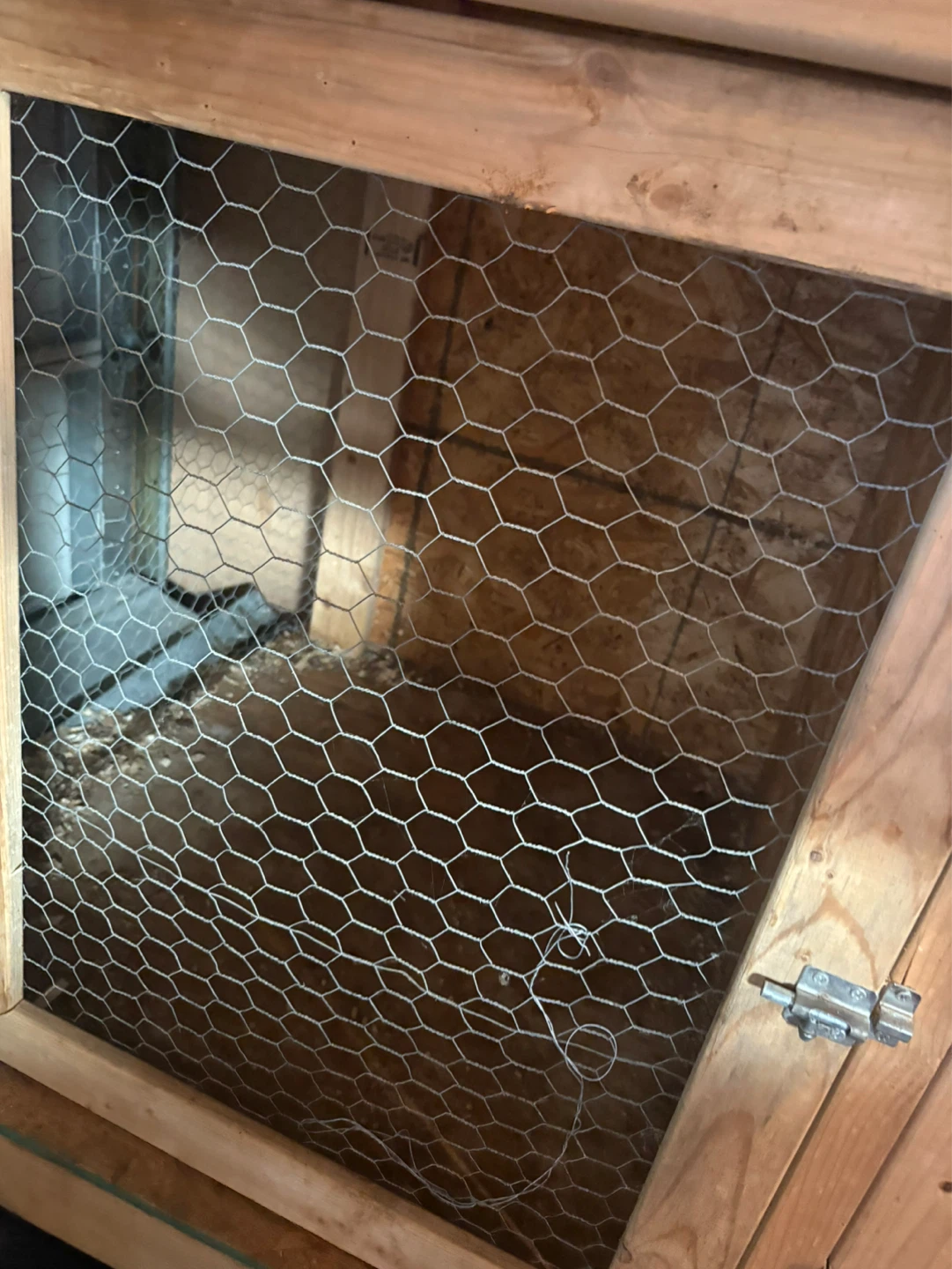 Wooden Chicken Coop 3 way door - photo 3