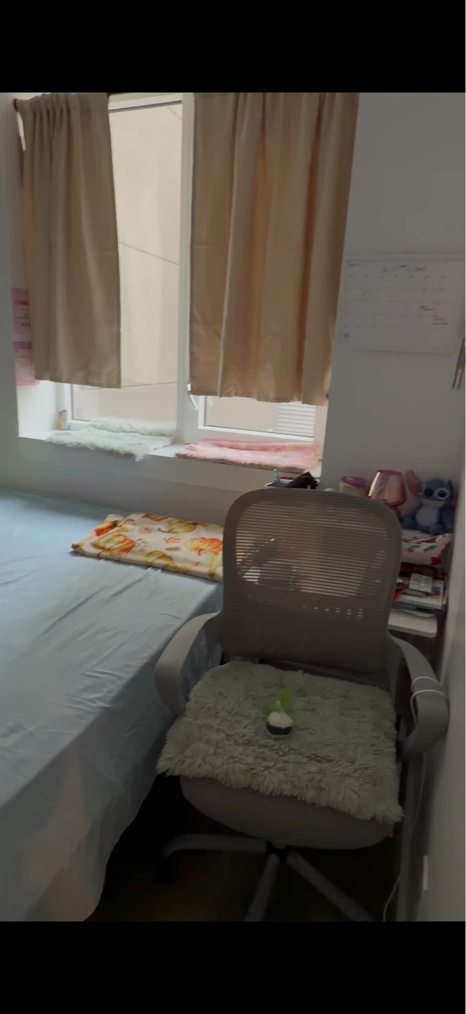 Gray Office Chair with Lumbar Support