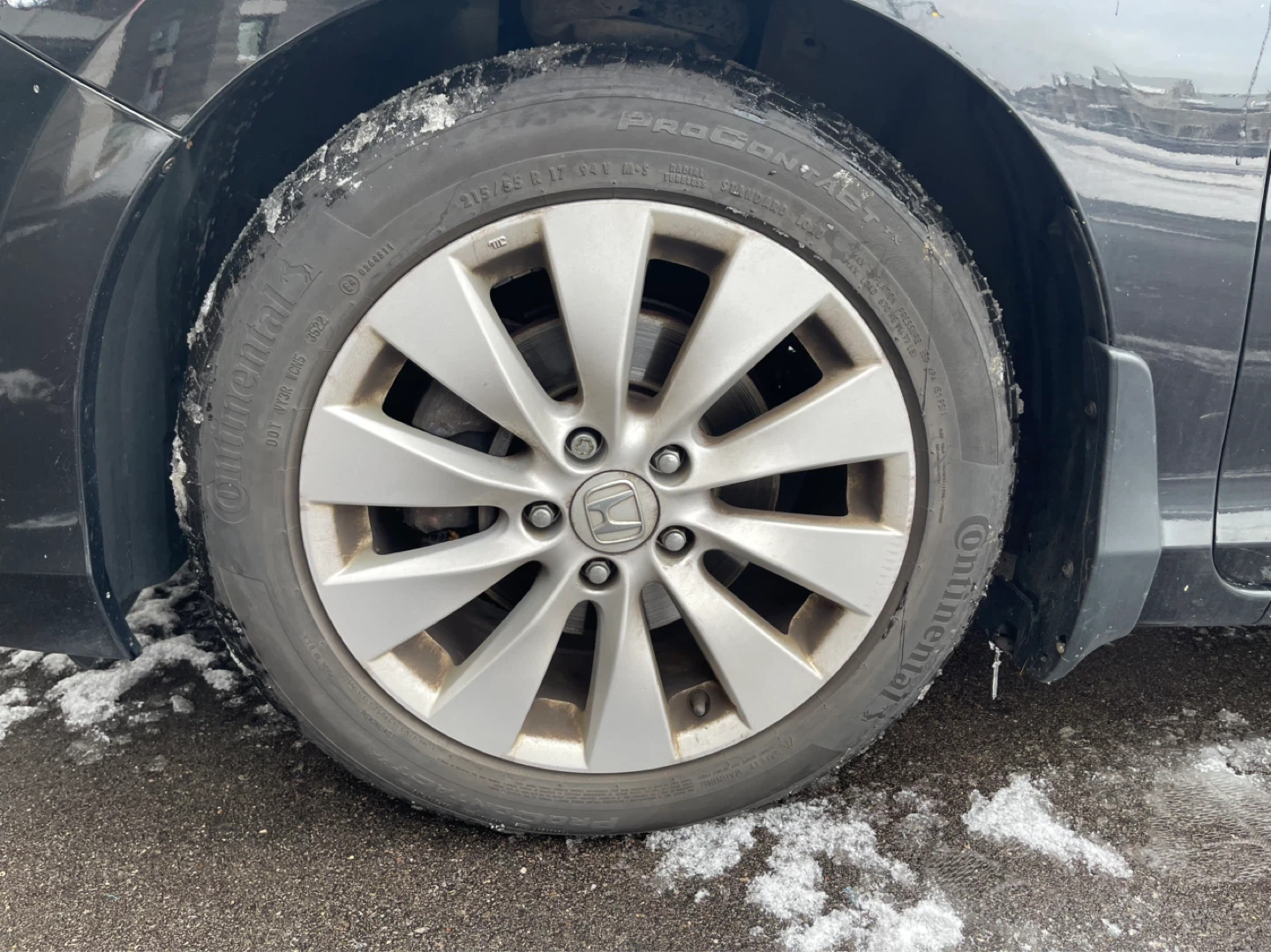 Continental ProContact TX Tires (215/55 R 17) - photo 2