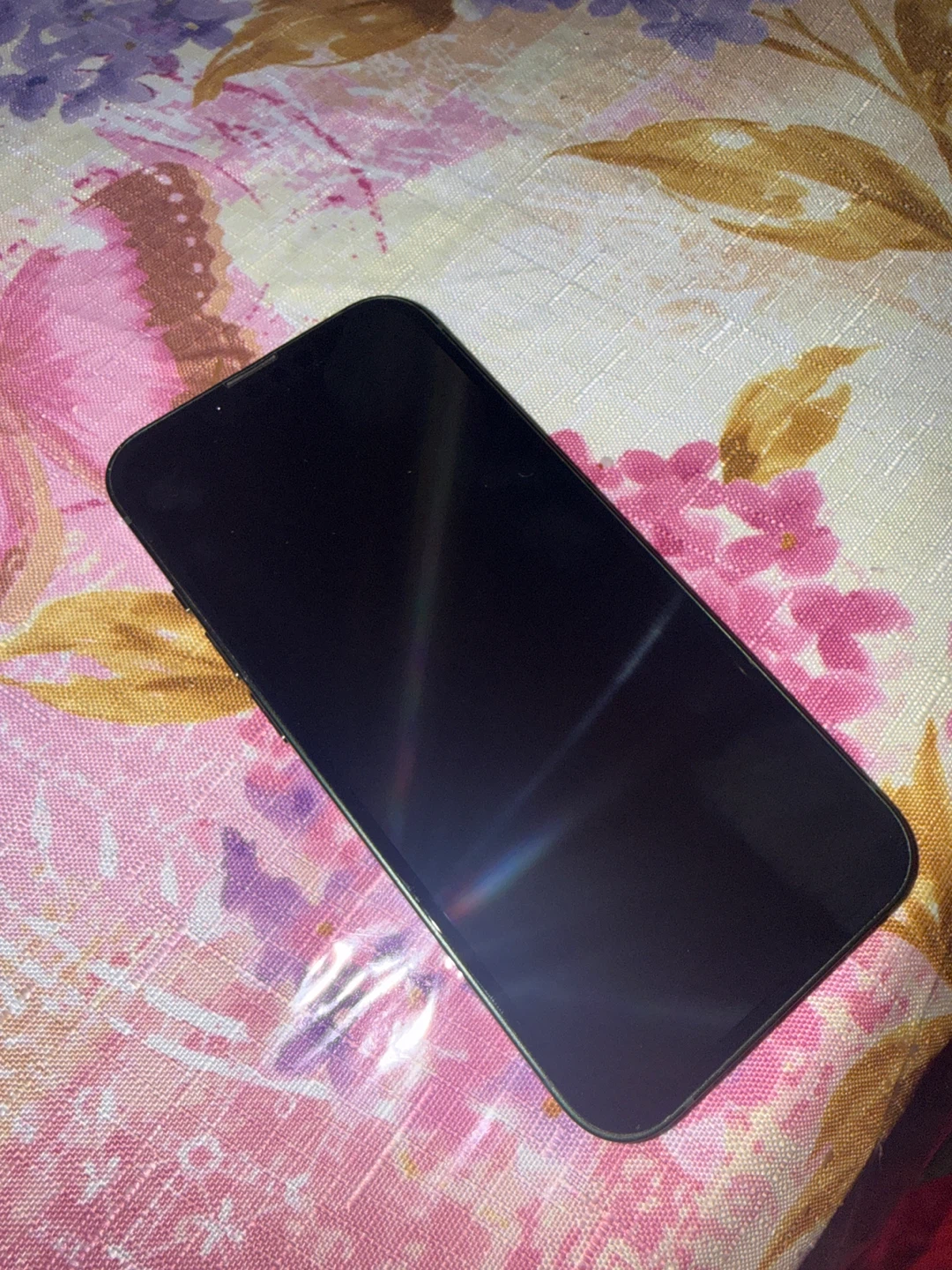 Apple iPhone 13 256GB