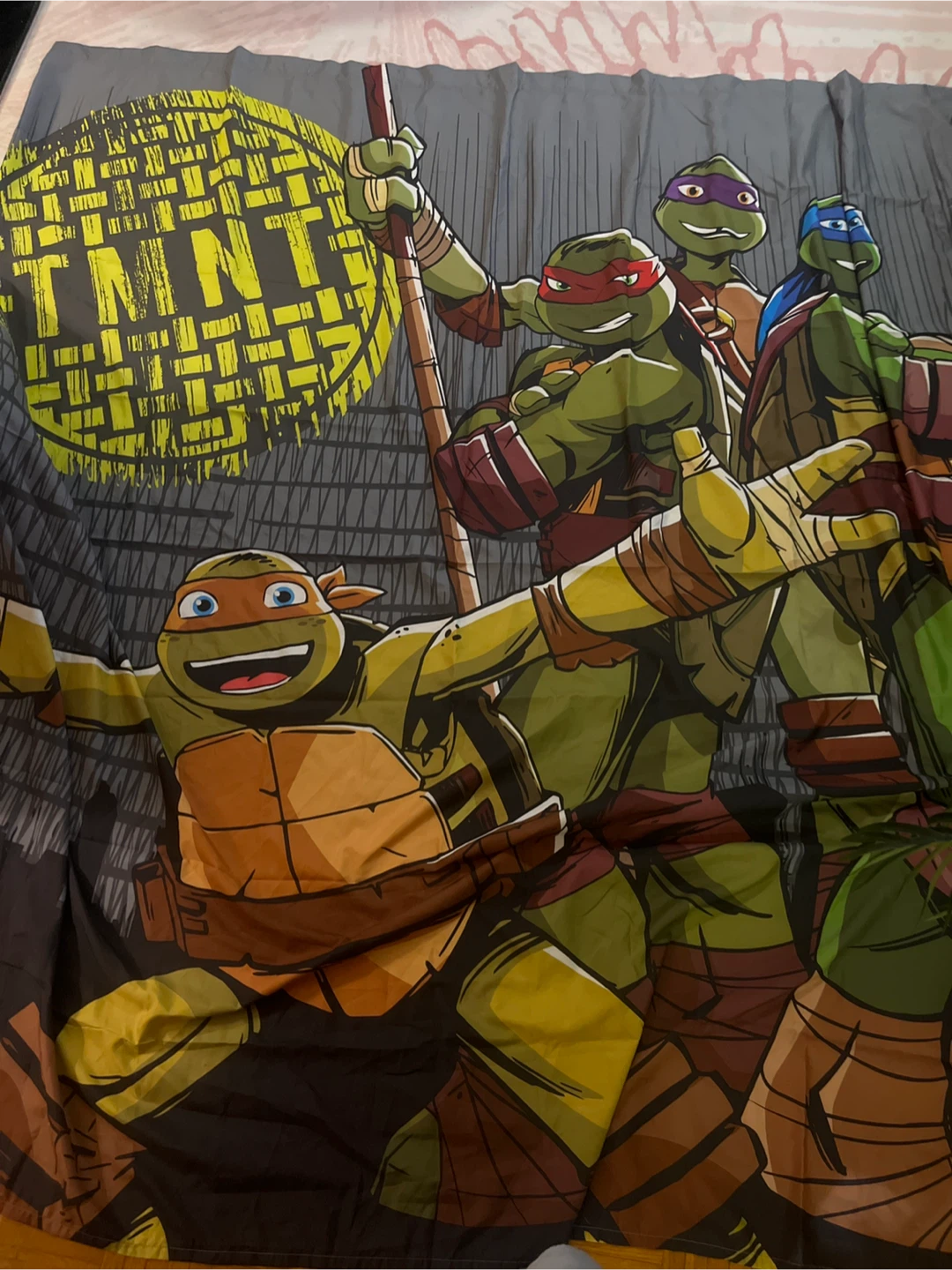 Teenage Mutant Ninja Turtles TMNT shower curtain