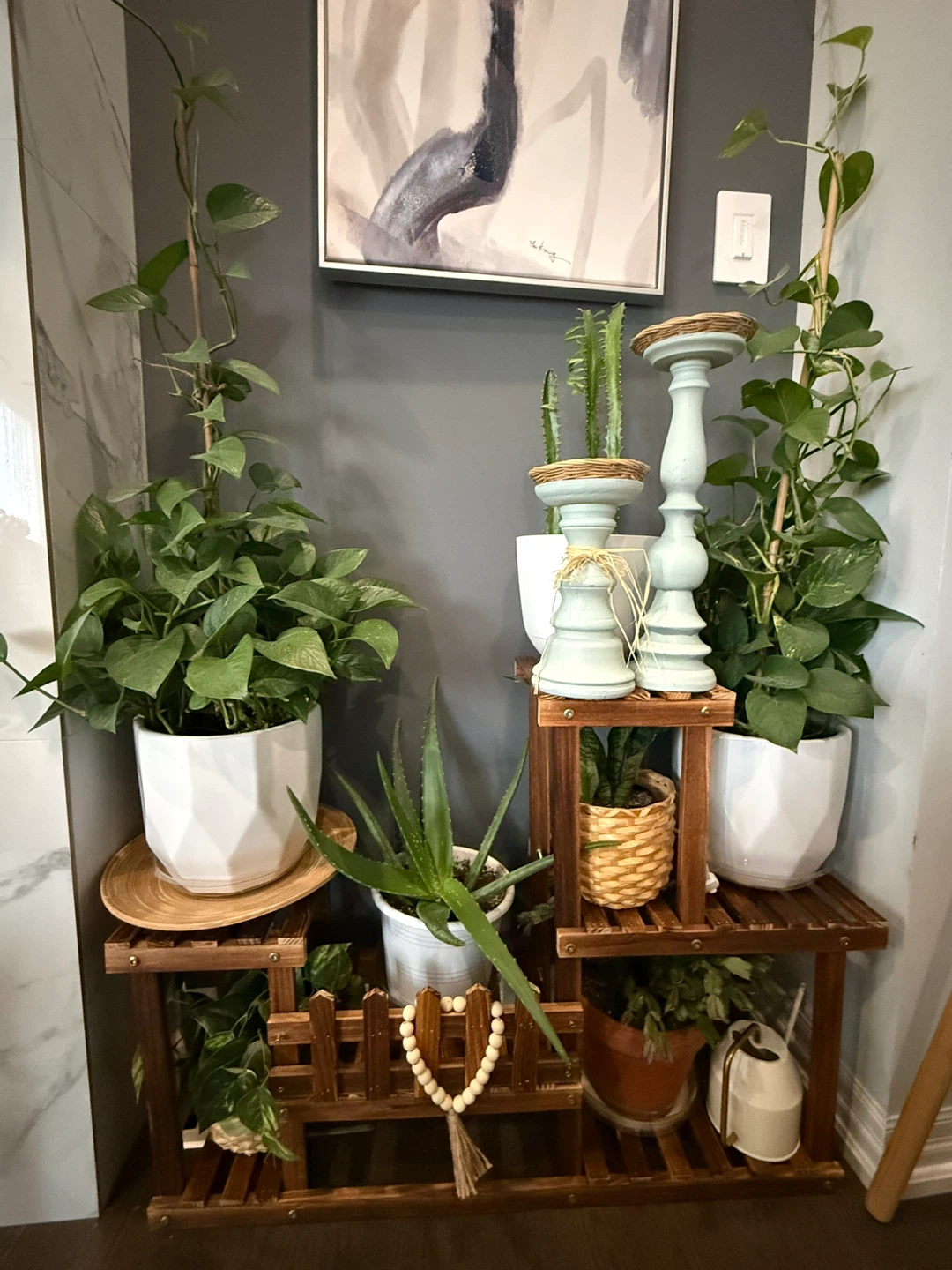 Pothos Plant in White Geometric Pot - photo 2