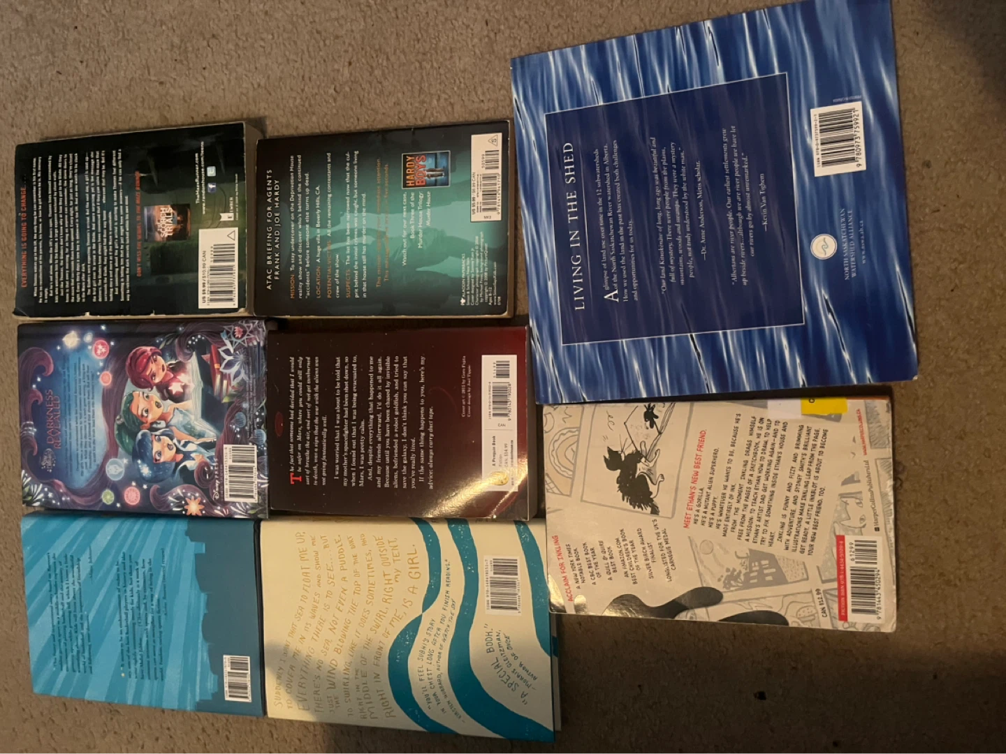 Collection of 9 Paperback Books - photo 2