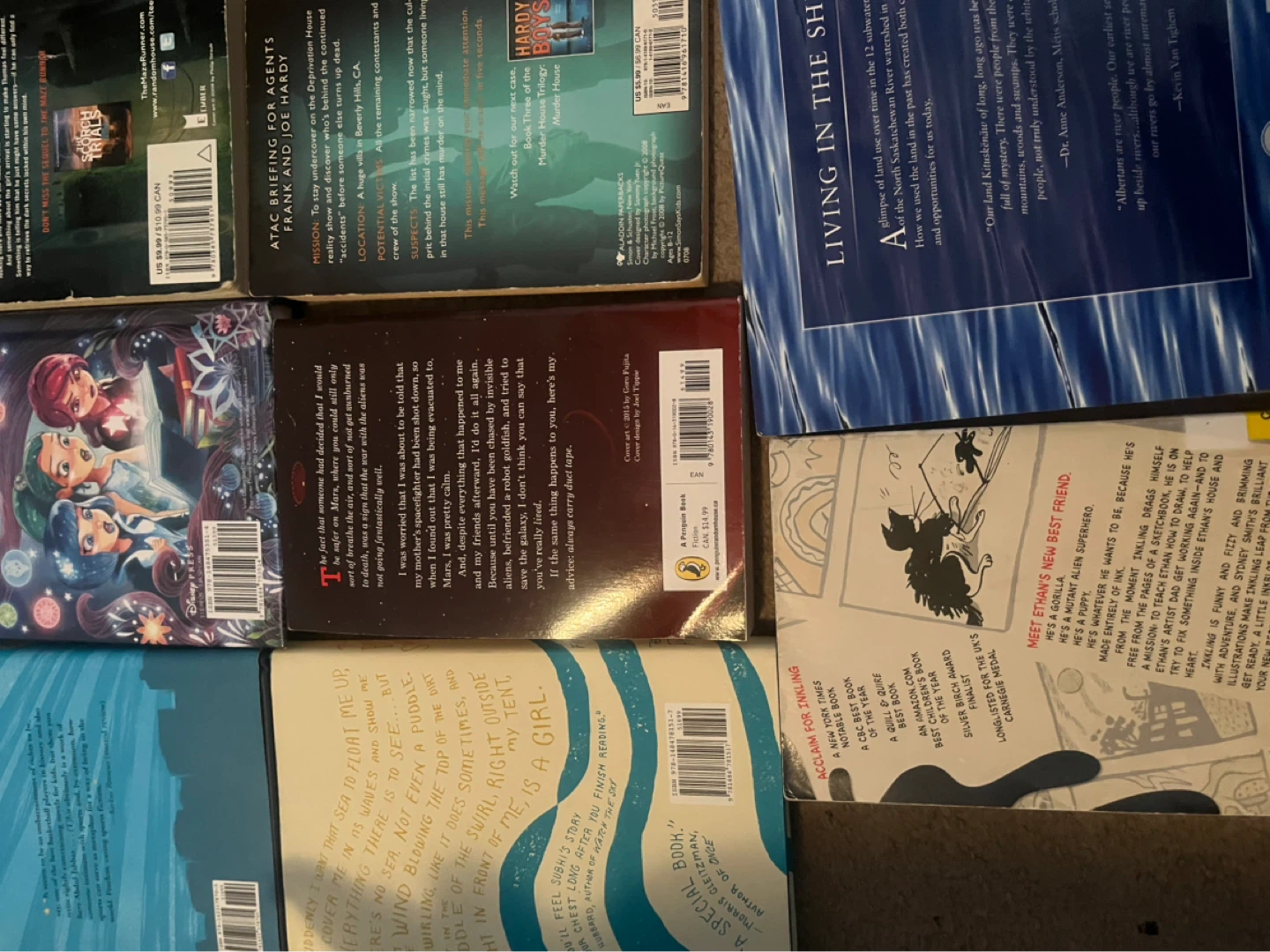 Collection of 9 Paperback Books - photo 4