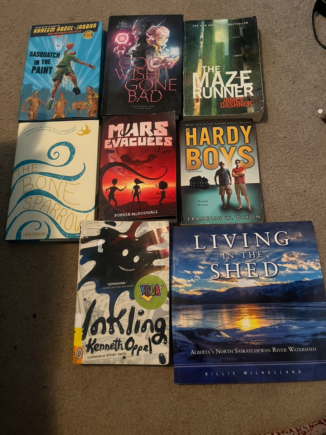Collection of 9 Paperback Books
