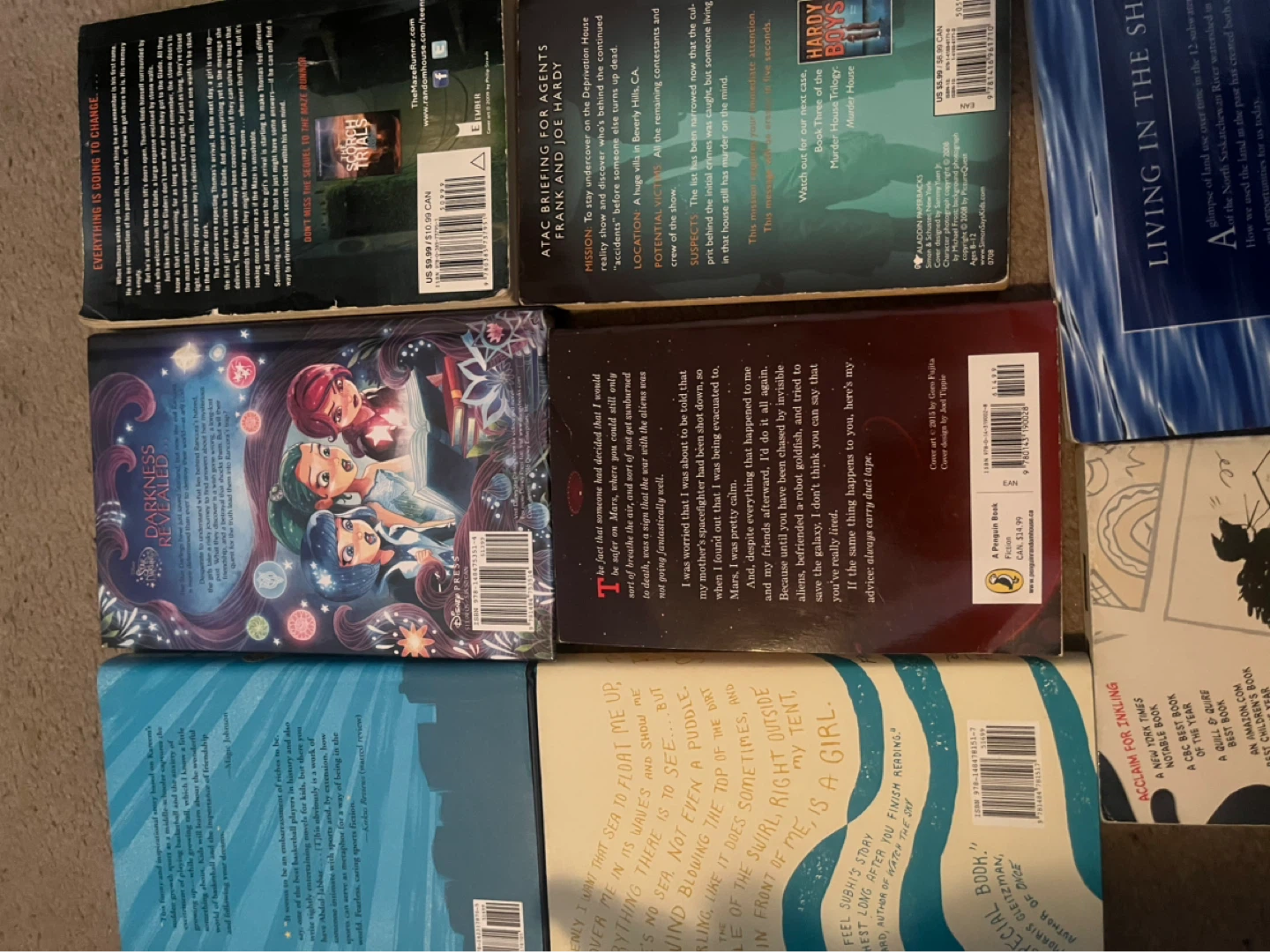 Collection of 9 Paperback Books - photo 5